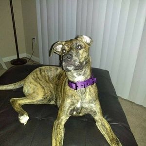 Meet your Posher, Bill